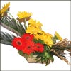 Elegant Charm - Click here to View more details about this Product